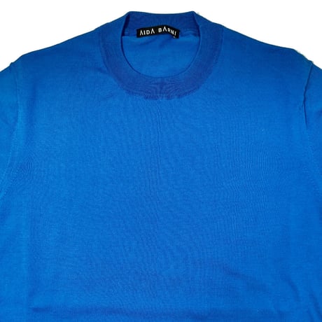 AIDA BARNI（アイダバルニ） イタリア製 半袖 ニットTシャツ メンズ  ブルー 無地 綿（AN213001-80）