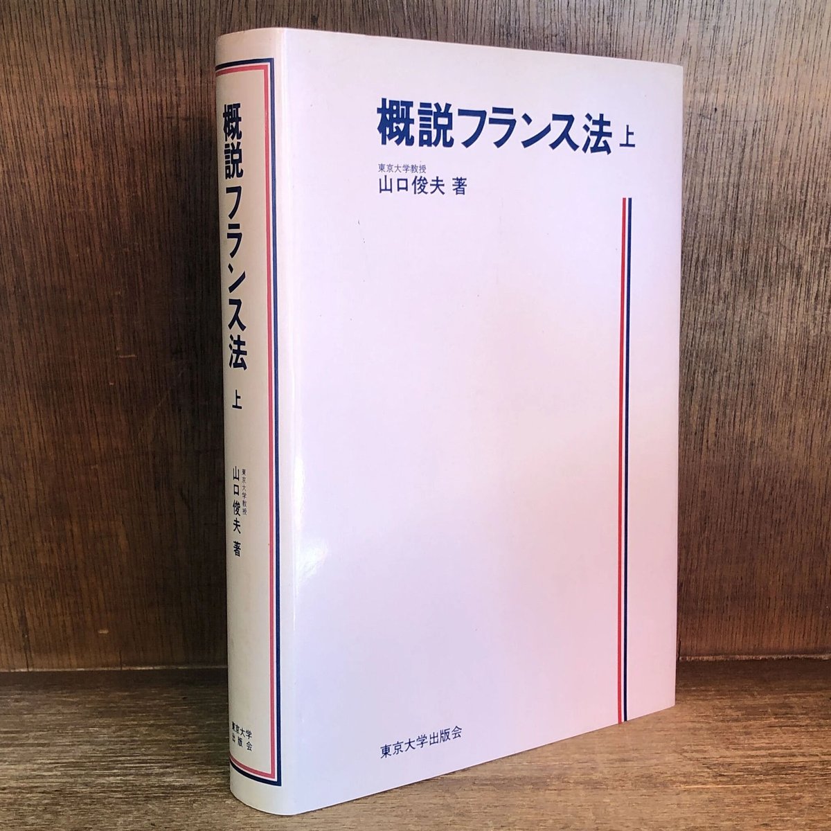 概説フランス法 下
