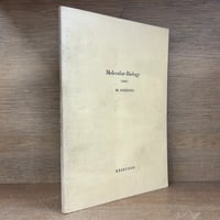 註解日本国憲法　上下巻　全2巻 注釈 日本国憲法 上・下巻 | 古本おんらいんSTORE 金修堂書店