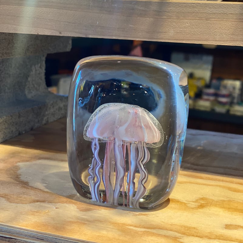 Jellyfish Twisted Leg | CRAFT TRADE SERVICE