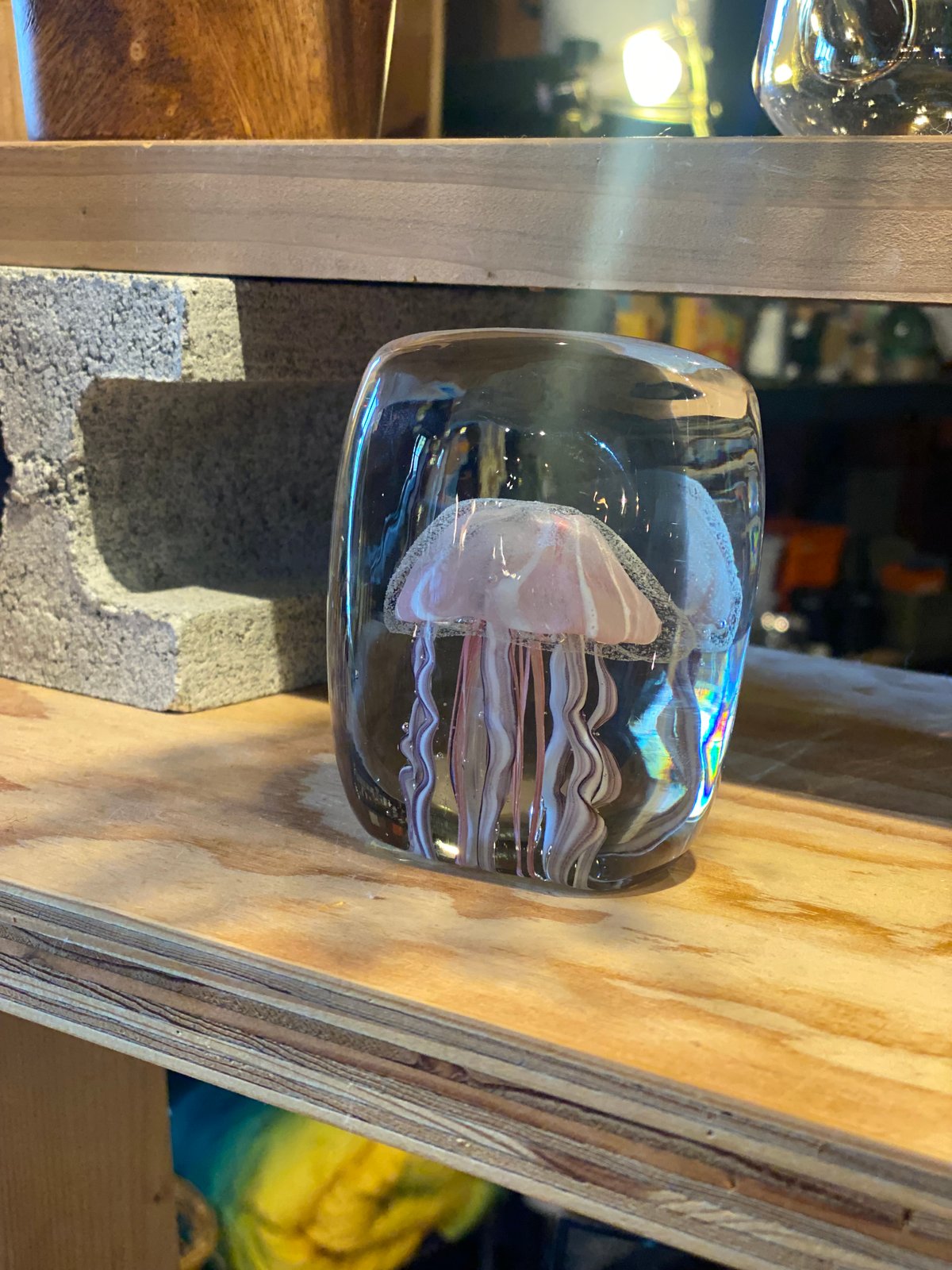 Jellyfish Twisted Leg | CRAFT TRADE SERVICE