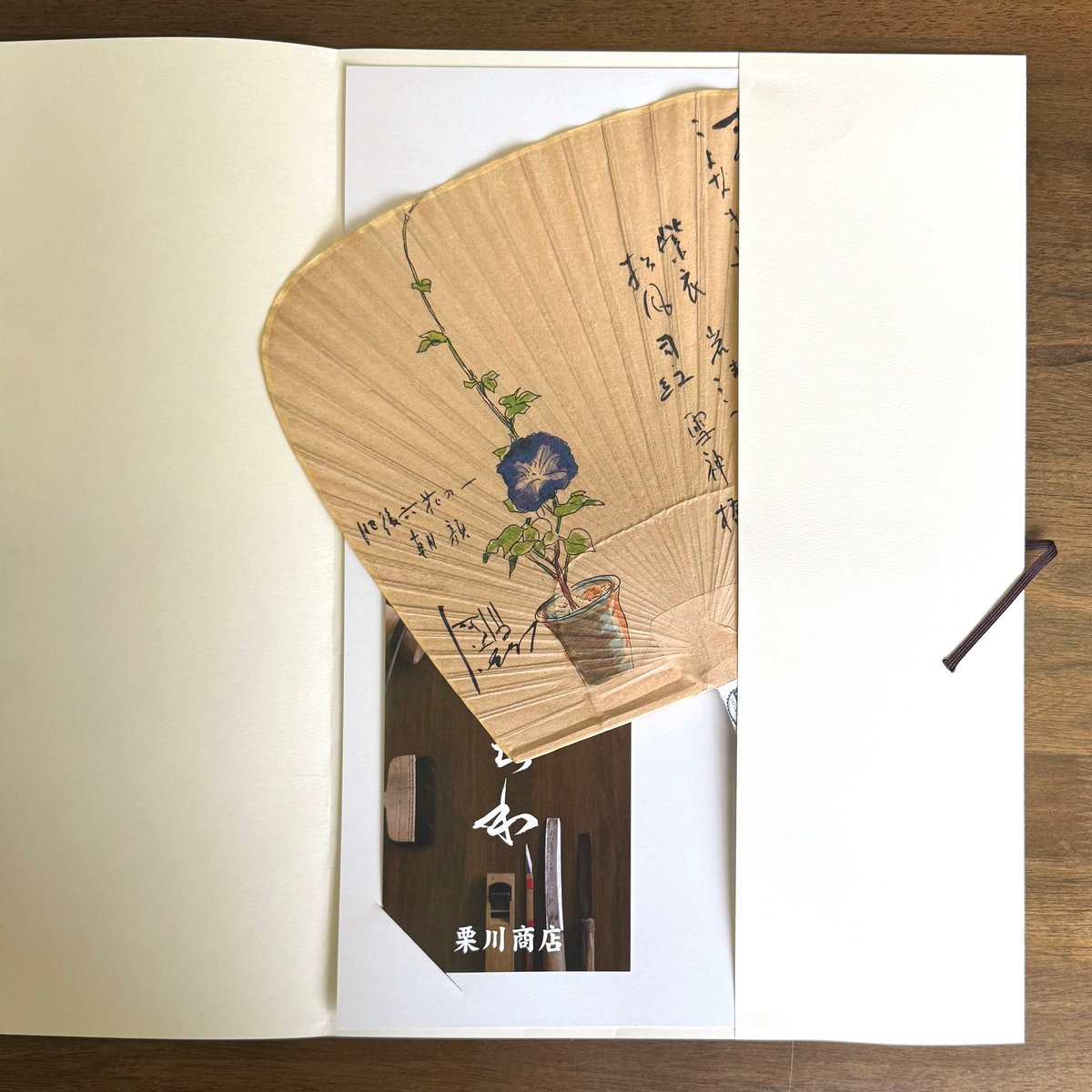 肥後六花】仙扇渋うちわ 肥後朝顔 | 栗川商店