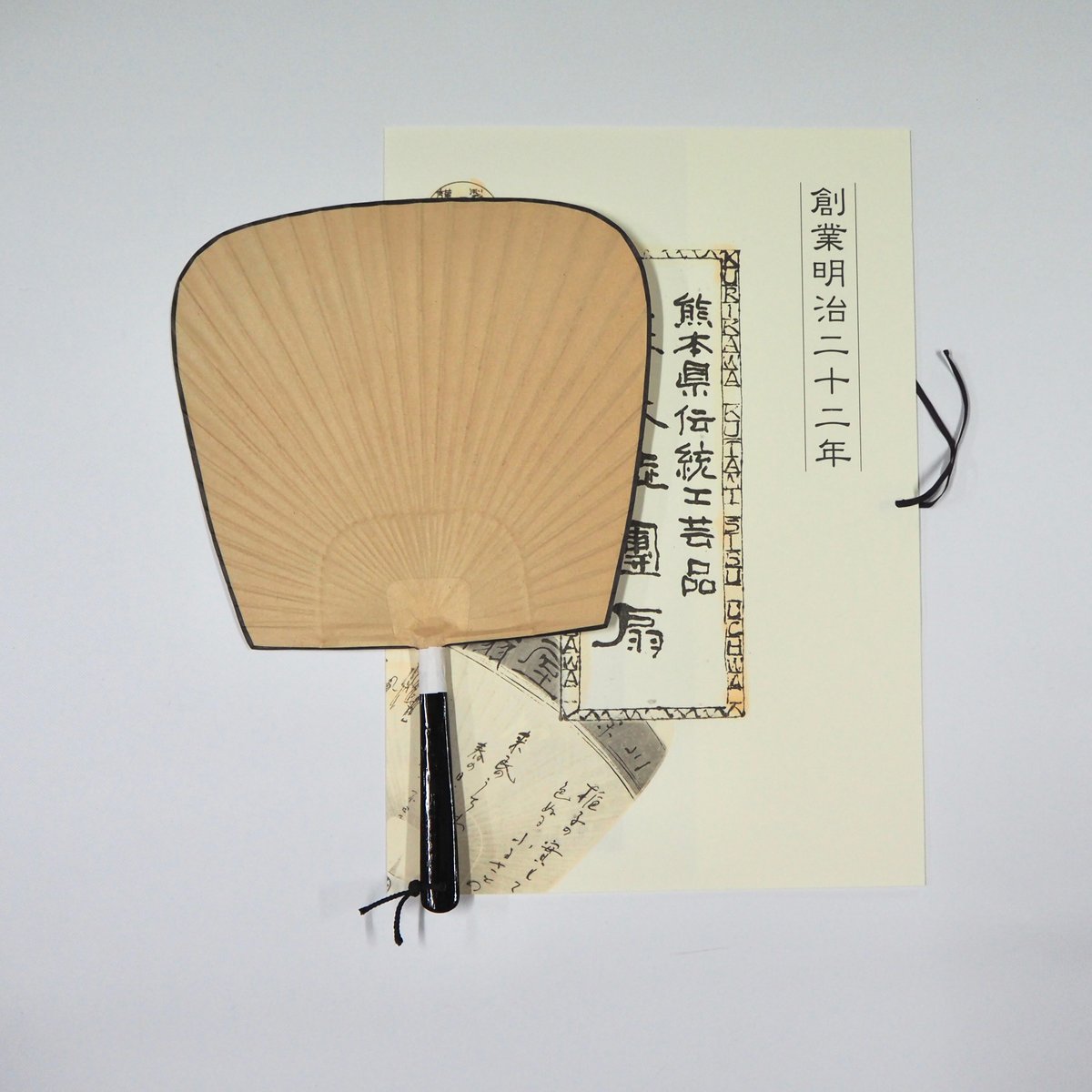 仙扇渋うちわ 猫オールスターズ /イラストレーター 百田まどか