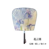 花言葉を添えた渋うちわ　【ショウブ】