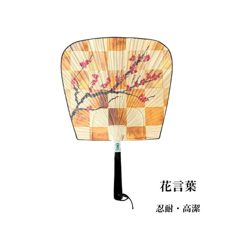 花言葉を添えた渋うちわ　【ウメ】