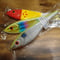 ■お1人様お2つまで■ STRIKE PRO × Mangrove Studio　ビッグバンデット　各色