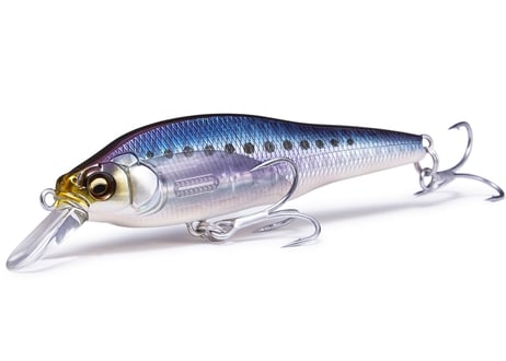 CATEGORY MEGABASS | Sexyfish The Store