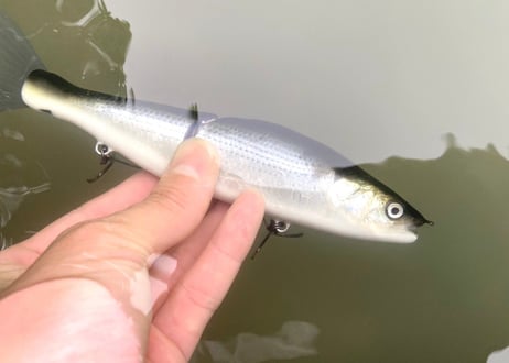 【釣日和×FBLコラボモデル】 魚皮ジョインテッドクロー178(コノシロ)