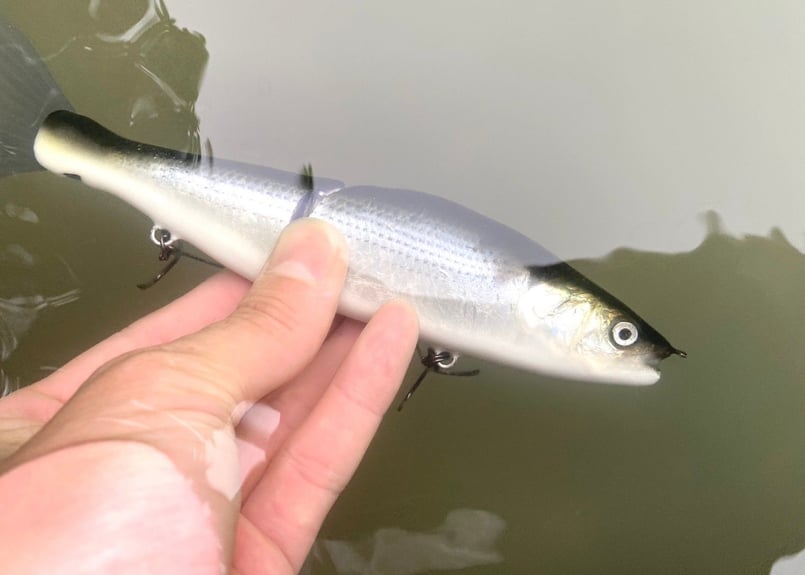 釣日和×FBLコラボモデル】 魚皮ジョインテッドクロー178(コノシロ