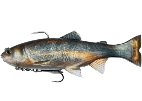 CATEGORY IMAKATSU | Sexyfish The Store