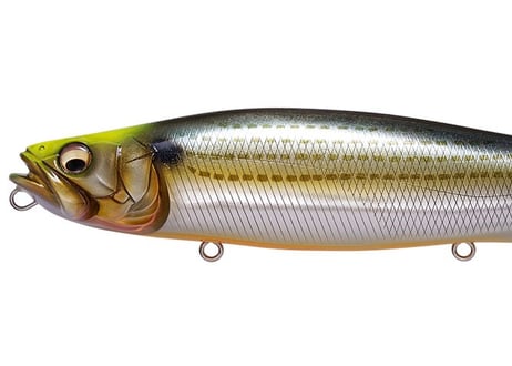 MEGABASS  メガドッグ　#SEXY FISH Lunkerselect