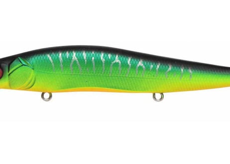 MEGABASS　VISION ワンテン SF　#各色