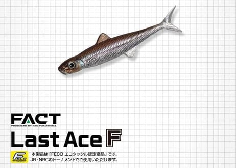EVERGREEN　ラストエース80F　#釣日和サイトセレクション