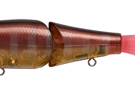 Fish Arrow　ライザージャック JR.　#各色