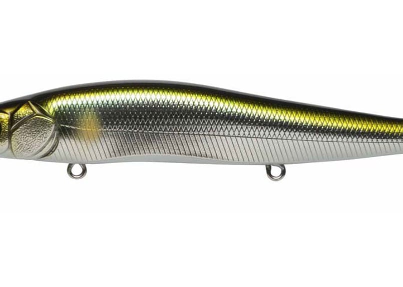 MEGABASS VISION ワンテン SF #各色 | Sexyfish The Store