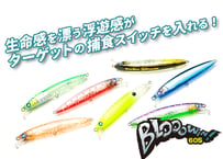 LEGIT DESIGN WILD SIDE WSC68M-5 | Sexyfish The