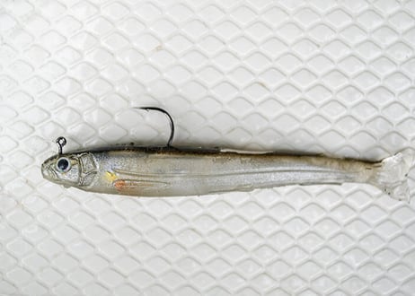 IMAKATSU　ハドルスイマーエラストマー 4inch　#各色
