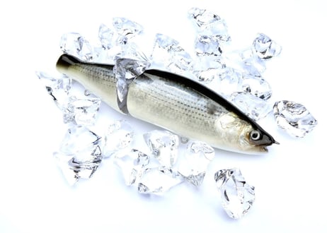 【釣日和×FBLコラボモデル】 魚皮ジョインテッドクロー178(コノシロ)