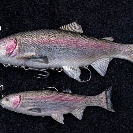 イマカツ　 レイジーハード 　ストロングチャート LAZY HARD　イマエ改 IMAKATSU イマカツ レイジーハード ストロングチャート : 池袋