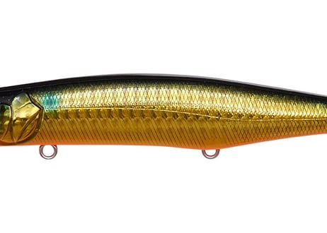 ■お1家族様お1つ限り■ MEGABASS　カゲロウMD 125F　#各色