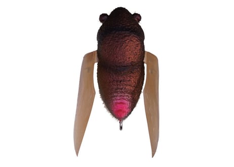 MEGABASS　タイニーシグレ　#釣日和セレクションカラー