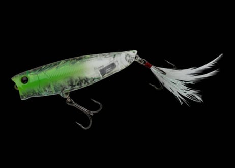 CATEGORY NORIES | Sexyfish The Store