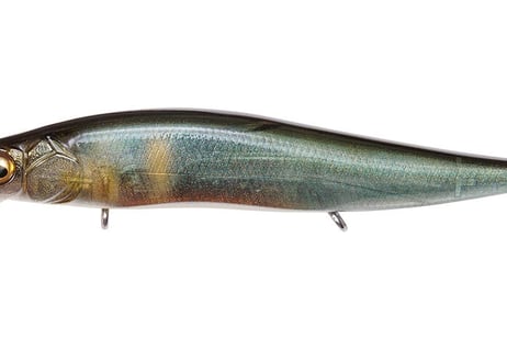 Megabass　Vision ワンテン Jr.   #各色