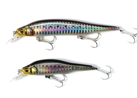 ☆Megabass　X-80 MAGNUM　#Sexyfish Selection