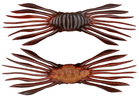 JACKALL　ドリフトクラブ　#釣日和サイトセレクション