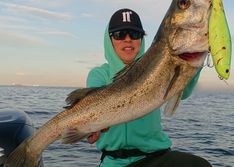 ZIP BAITS  ザブラペンシル コノハ 230  各色