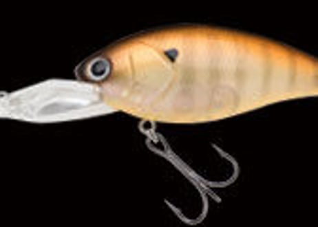 NORIES　ショットオーバー５　#各色