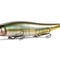 MEGABASS　メガドッグ-X　#各色