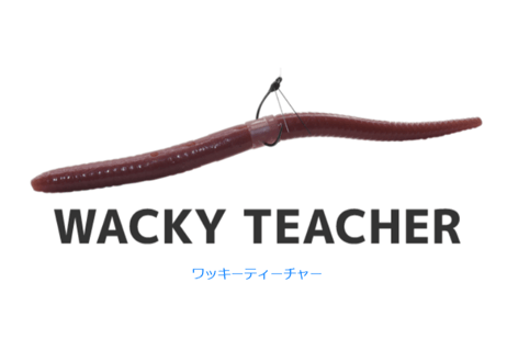 FOLLOW　ワッキーティーチャー 5inch　#各色