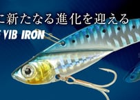 BASSDAY  レンジバイブ70アイアン  ◆厳選４色◆
