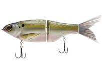 SPRO　KGB CHAD SHAD 180　#SEXYFISH Color Selection
