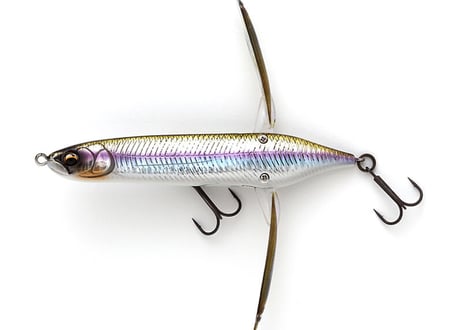 ■おひと家族様お1つまで■ IMAKATSU　アベンタクローラーバゼル　#各色