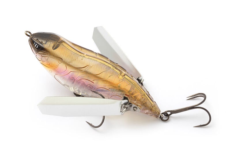 IMAKATSU アベンタクローラーRSR 各色 | Sexyfish The Store IMAKATSU アベンタクローラーRSR 各色 | Sexyfish The Store