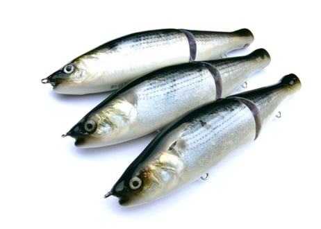 【釣日和×FBLコラボモデル】 魚皮ジョインテッドクロー178(コノシロ)