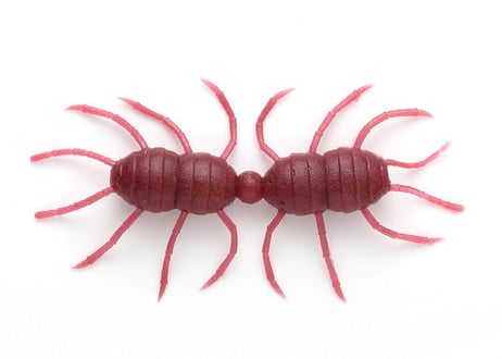 Imakatsu  風神スパイダートレーラー 　#釣日和サイトセレクション