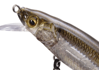 釣日和×FBLコラボモデル】 魚皮ジョインテッドクロー178