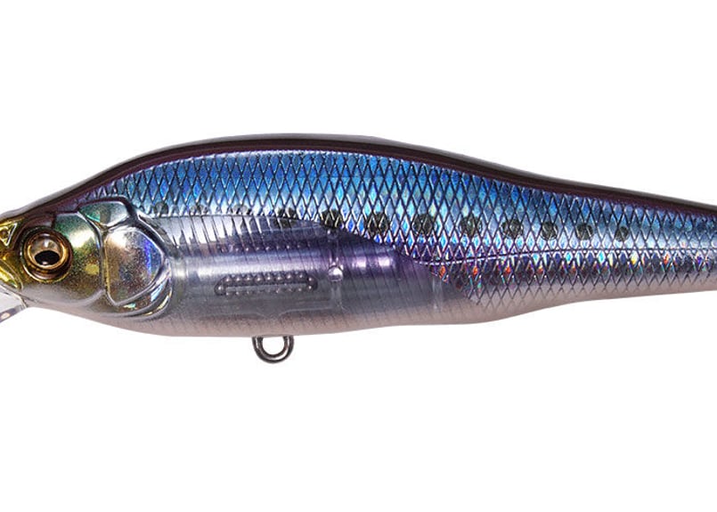 ☆Megabass X-80(ハチマル) SW LBO ＃Sexyfish Selection