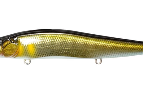 MEGABASS　VISION ワンテン SF　#各色