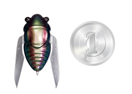 MEGABASS　ナノシグレ & 春蝉　#釣日和サイトセレクション