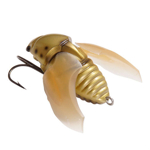 fit=scale-down,w=1200