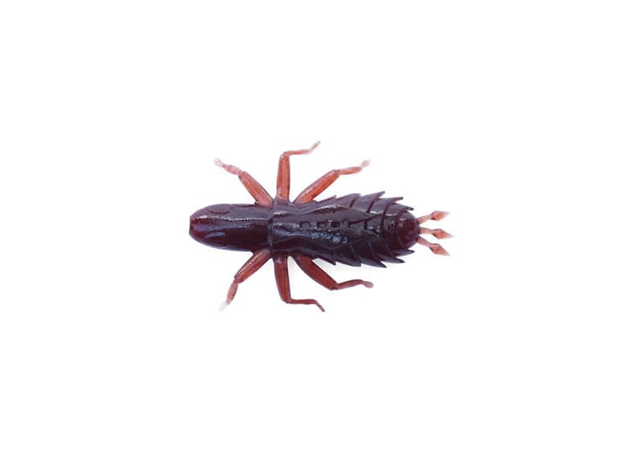 621ccc3f113ce02e045b056b