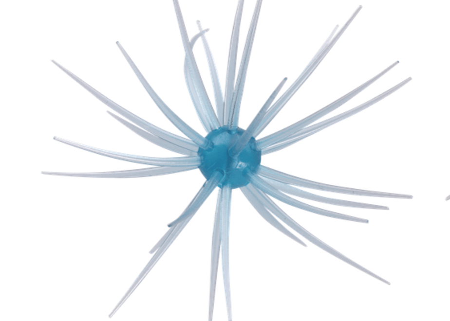 66d743c85b84b414e0e03c2b