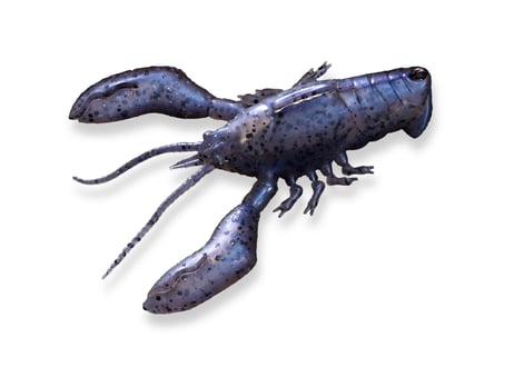 MEGABASS　SLEEPER CRAW　#各色