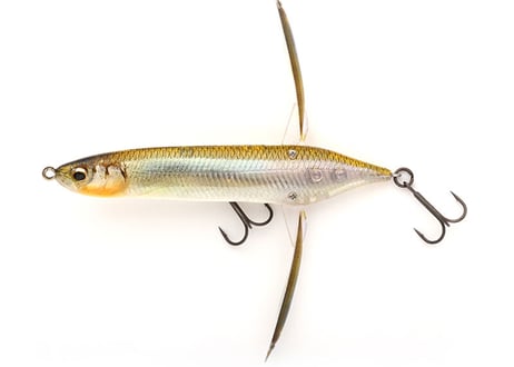 ■おひと家族様お1つまで■ IMAKATSU　アベンタクローラーバゼル　#各色