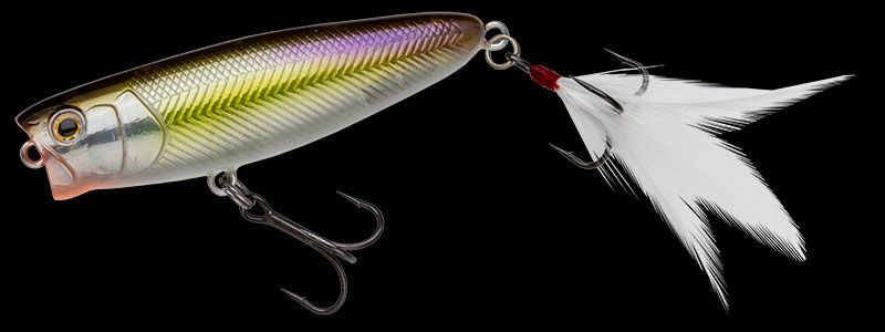 ノリーズ　タフバグ65 4色セット！ ノリーズ タフバグ65 厳選4色 | Sexyfish The Store