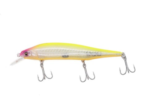☆Megabass　X-80 MAGNUM　#Sexyfish Selection